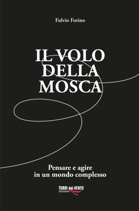 Il volo della mosca
